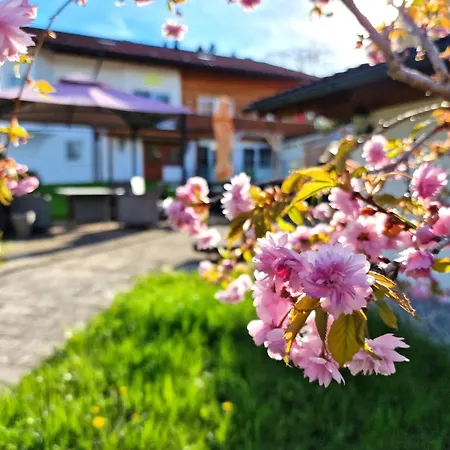 Ferienwohnung Kindelsbach - Christoph Lechner Am Zeitberg Apartman Bad Kohlgrub